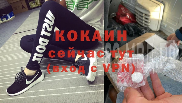 шишки Богданович