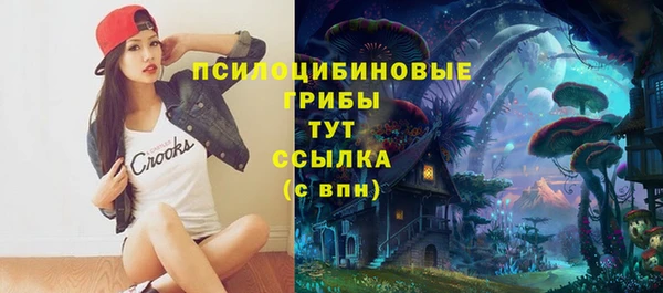 соль курить ск Белокуриха