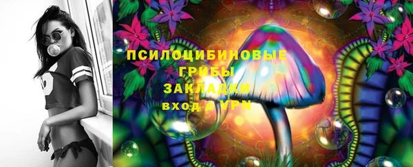 2c-b Беломорск
