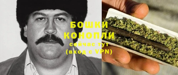 шишки Богданович