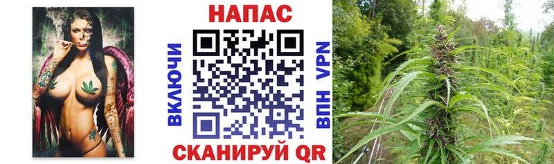 Бошки Шишки OG Kush  наркота  Иноземцево 
